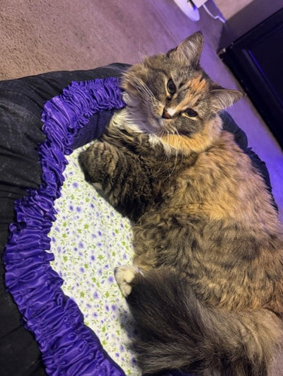 Penny